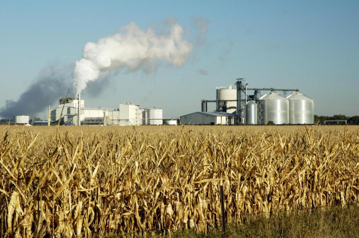 domestic-biofuel-production-possible-financial-tribune