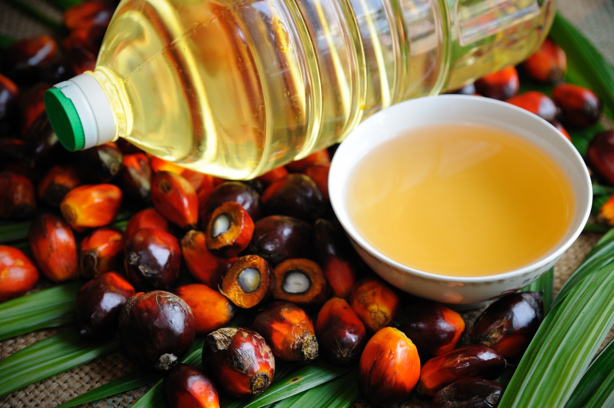 50 Rise In Palm Oil Imports Financial Tribune