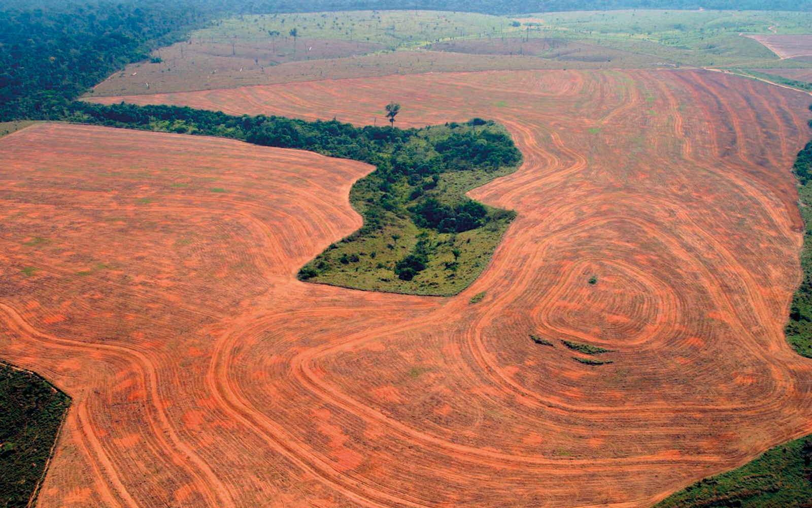 Обезлесивание. Вырубка тропических лесов Амазонии. Обезлесение леса Амазонии,. Обезлесение Бразилии. Вырубка леса в Бразилии.
