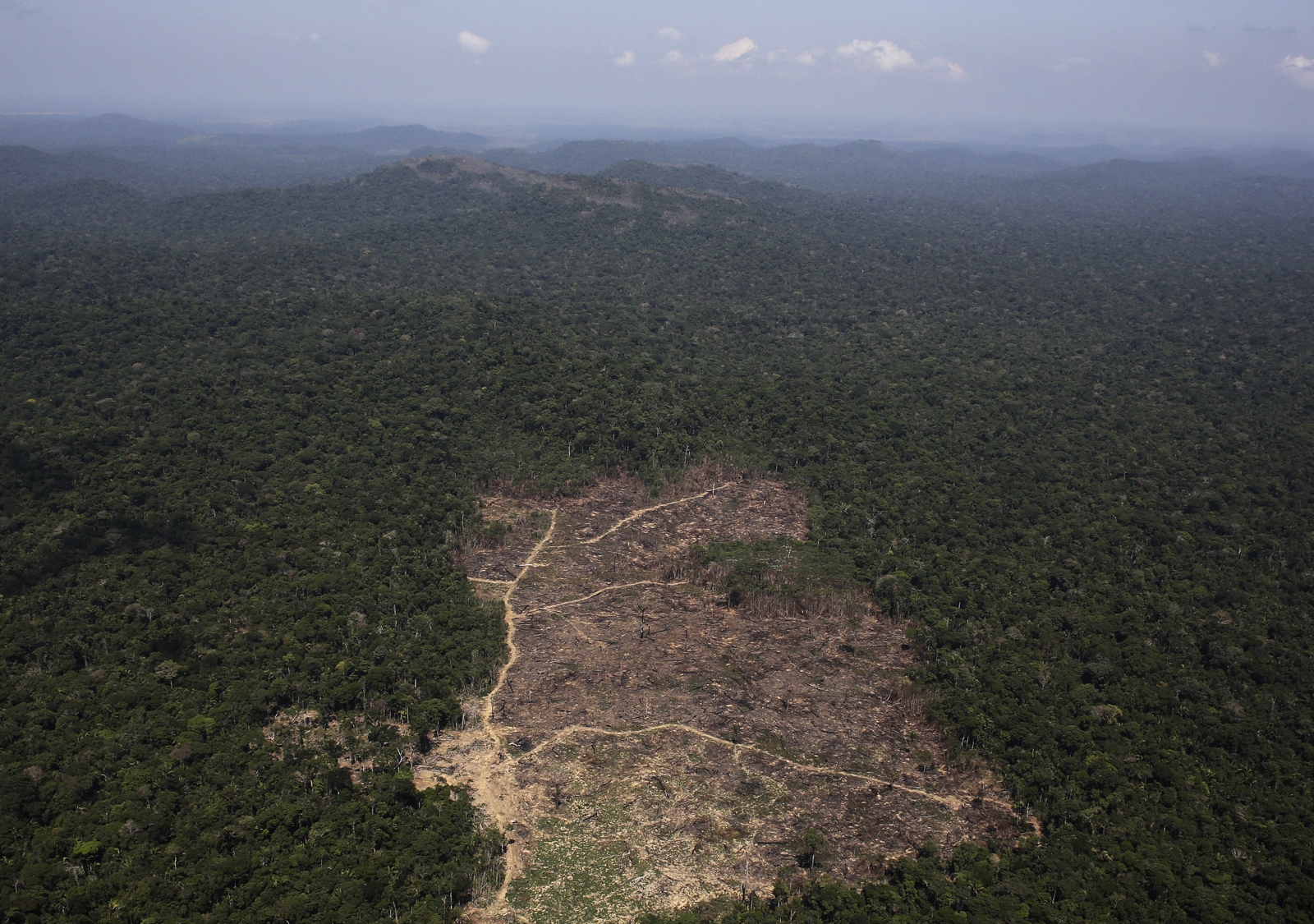 Deforestation Up 57% in Brazil's Forest