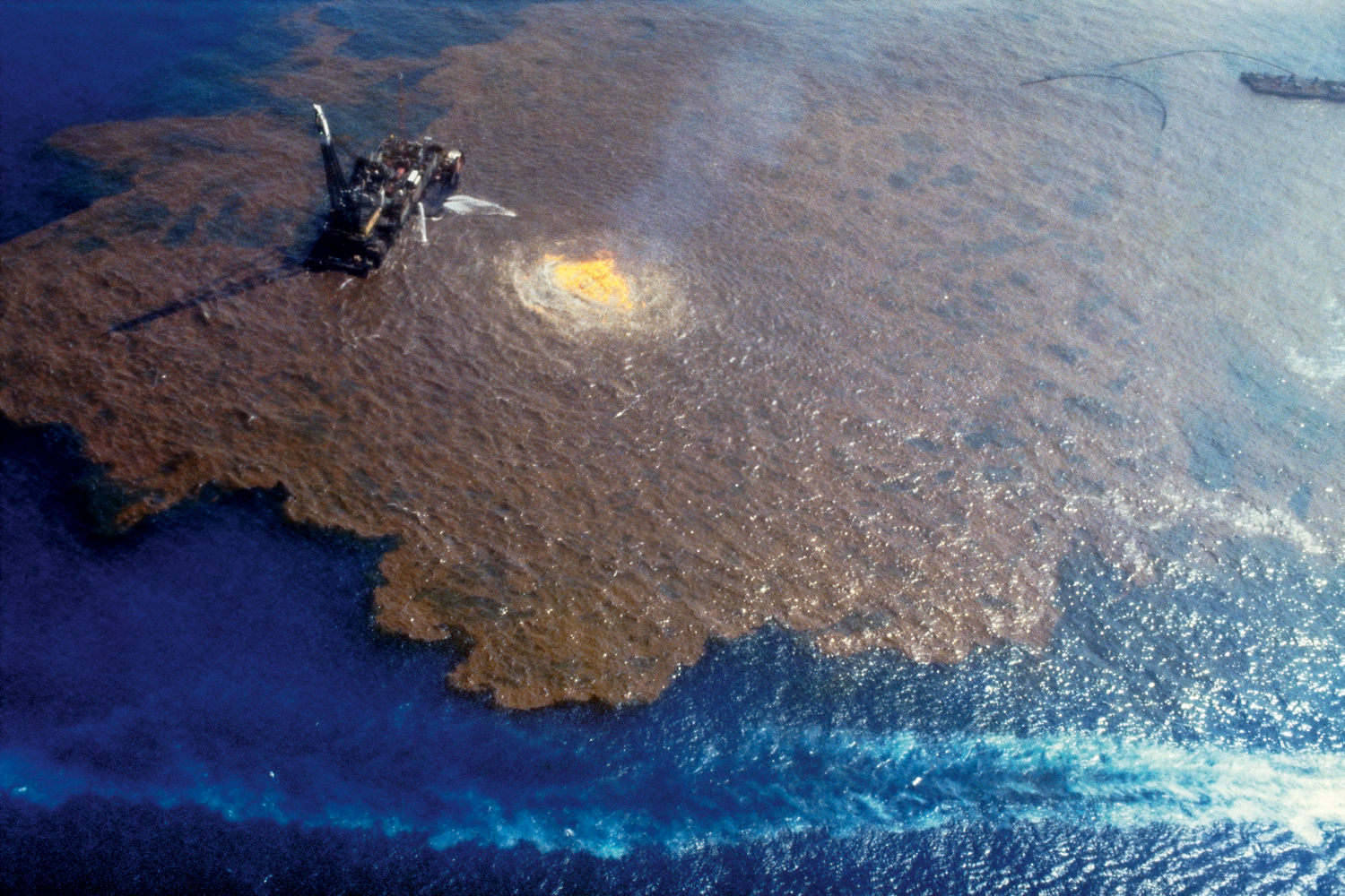 Сосна утонет в нефти. Разлив нефти с платформы Ixtoc i. Мексиканский залив Ixtoc-1. Разлив нефти в мексиканском заливе 1979. Разлив нефти в мексиканском заливе из космоса.