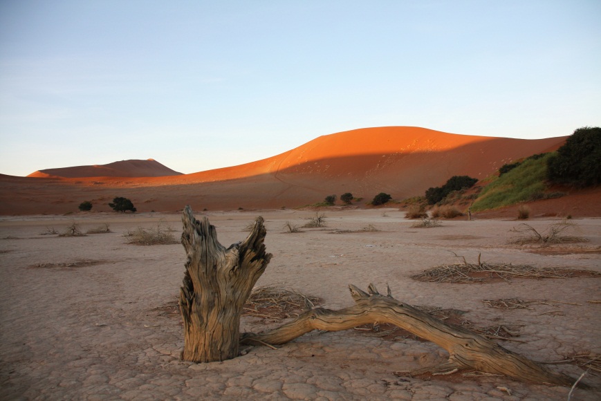 desertification essay