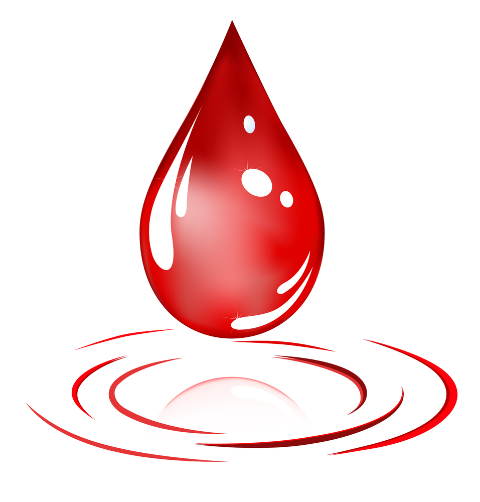 Blood Donation Campaign  Financial Tribune