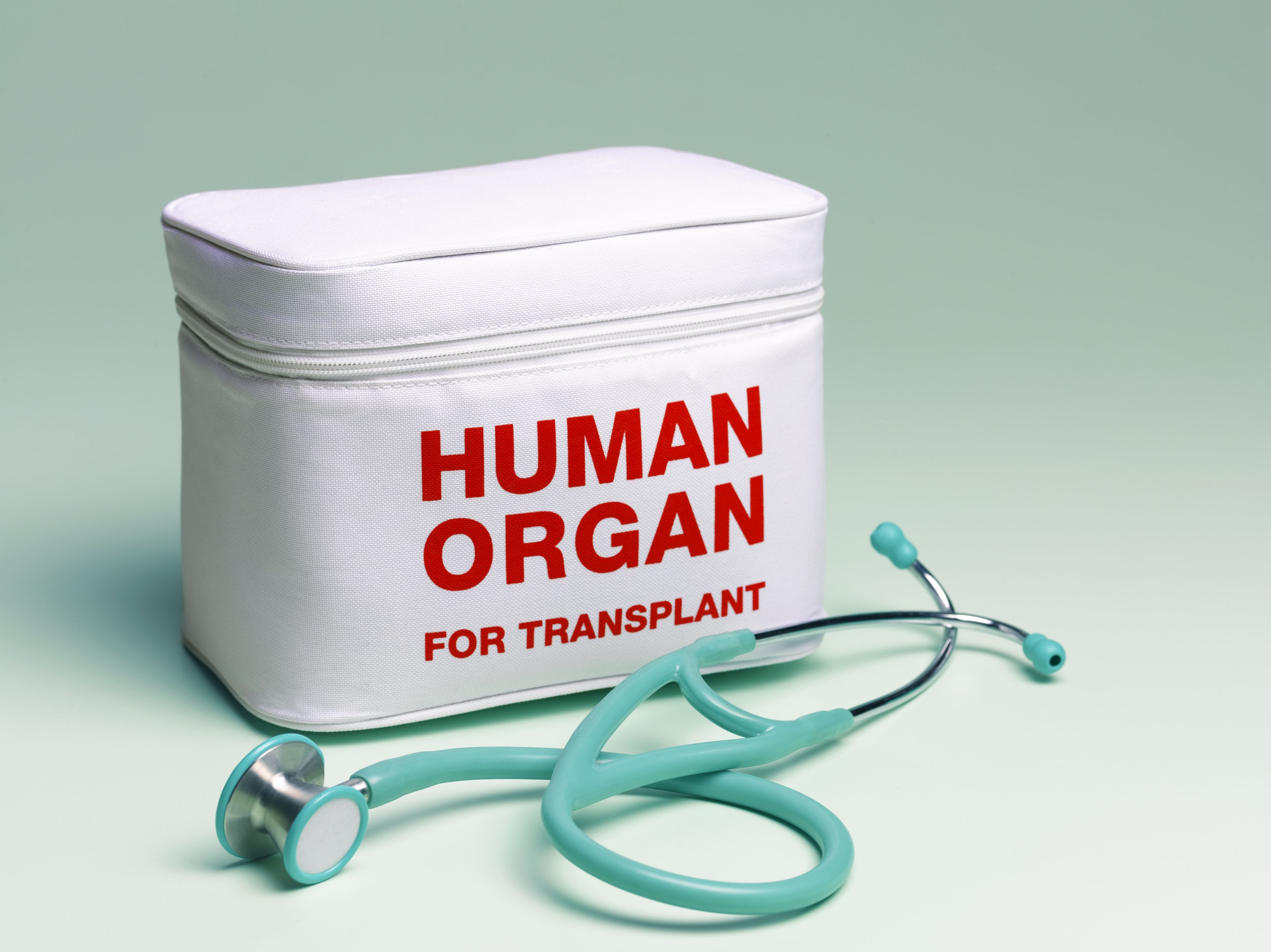 Донорство тканей. Контейнер для трансплантации органов. Трансплантация органов и тканей.