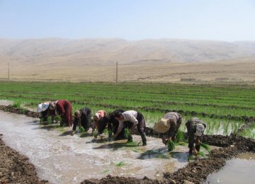 Iran: New Strategies Needed to Reduce Water Use