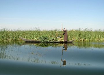 DoE Appears Content With Hamoun Wetlands Revival 