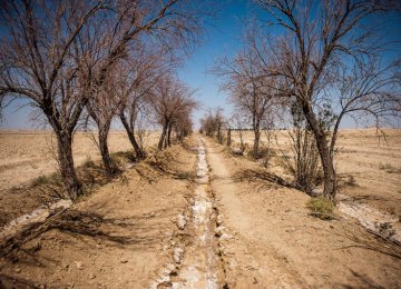 Over 8,000 Illegal Wells Sealed in Isfahan in 17 Years