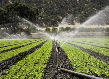 Agro Sector Gobbles Up 91% of Water 