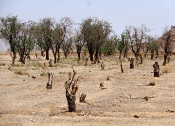 Yazd Water Problem Worsens 