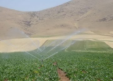 Gov’t Taking Baby Steps to Reduce Water Waste in Agriculture Sector 