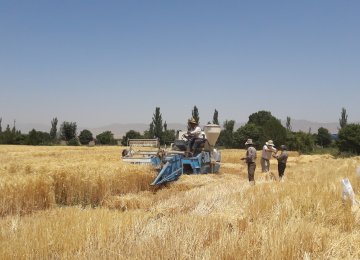 Agro Sector Alone Registered Negative Growth in 1st Quarter