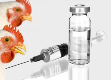10m Doses of Avian Flu Vaccines Imported