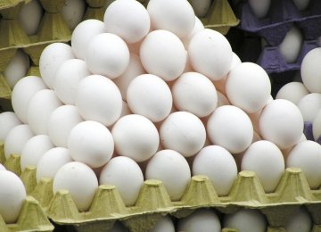 Eggs See Highest Annual Price Rise Among Basic Edible Goods