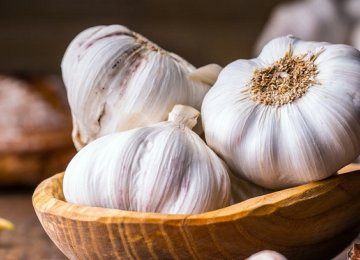 Time to Resume Garlic Exports  to Iraq 