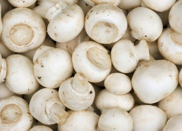 Per capita mushroom consumption in Iran is one kilogram per year.