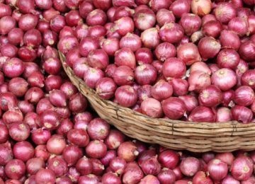 Onion Exports Earn $22m  in 4 Months