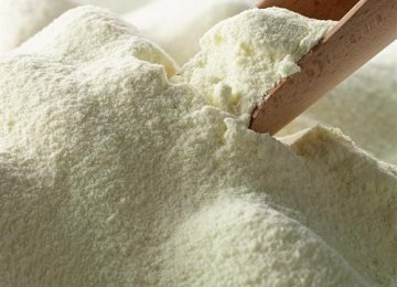 Milk Powder Exports Earn  $24 Million 