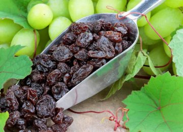 Raisins: Iran's 3rd Major Non-Oil Export Commodity