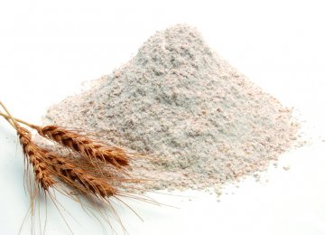 Wheat Flour Exports Earn $20 Million