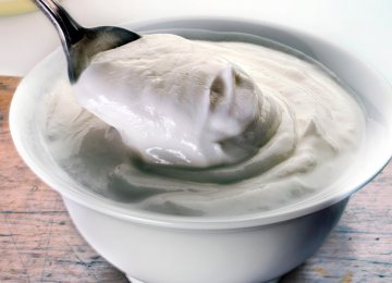 Yogurt Exports Earn $36m 