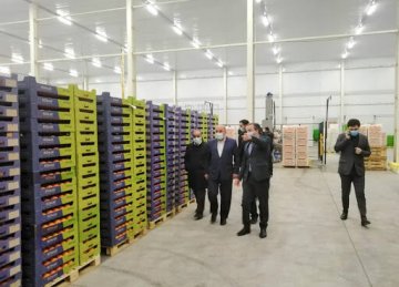 Iran’s Largest Agrifood Export Terminal Launched in Mazandaran