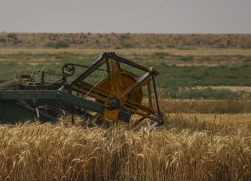 Iran's Agricultural Yields Expected to Increase by 3 Million Tons 