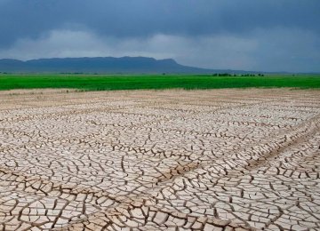 Drought Inflicts Losses Worth $2.7 Billion on Agro Sector