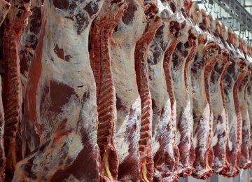 43% Rise in Red Meat Output