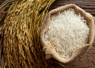 Iran 4th Biggest Importer of Rice in the World 