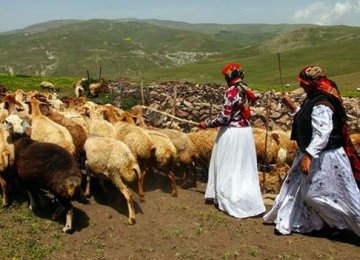 Drought Ruins Nomadic Livelihood 