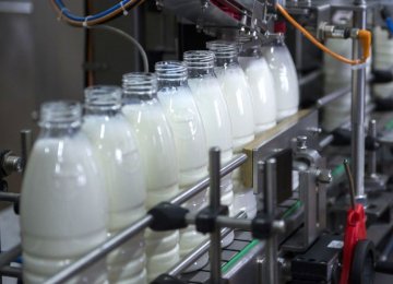 Dairy Exports Top $29m in One Month