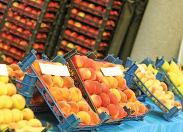 Agro Processing, Packaging Capacity Up 40 Million Tons Since 2013