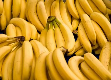 Banana Imports Hit $176m in Four Months 