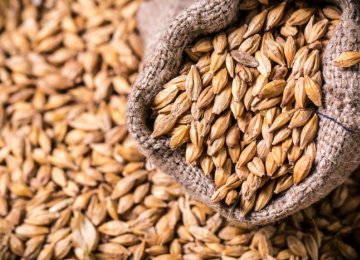 Barley Imports Top $79m 
