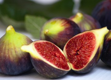 Fig Exports at 11,000 Tons 