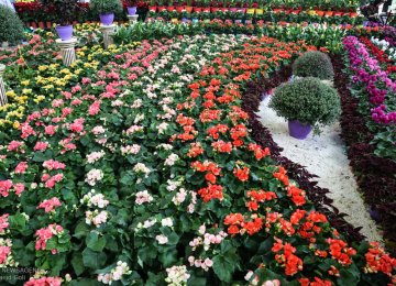 Overseas Flower, Plant Sales Earn $5.3 Million in Q1