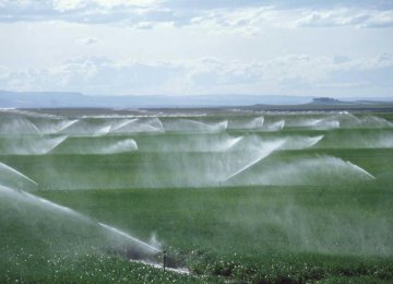 Modern Irrigation Systems  Installed Over 180,400 ha Last Year