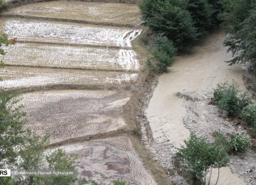 Flood Damage to Mazandaran Agro Sector Estimated at $16m