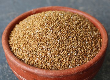 Millet Imports  at Over $10m 