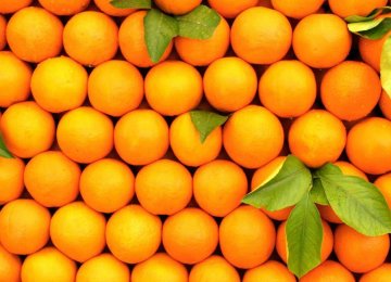 Orange Exports at 16,700 Tons 