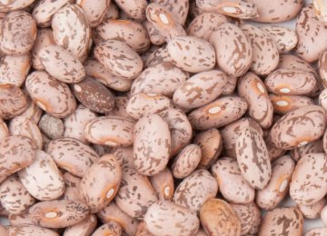 Pinto Bean Imports Top $53m in 11 Months