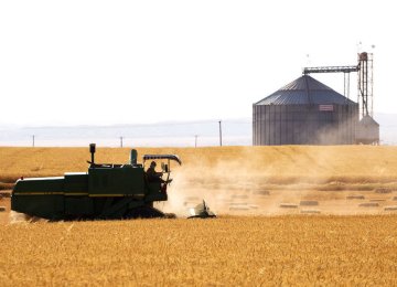 Wheat Harvest Yields 10m Tons