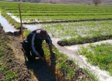 Because Iran is mostly arid, the agricultural sector relies on underground water resources to continue production.
