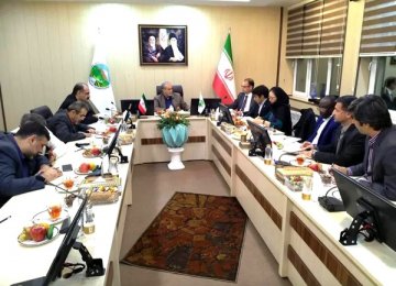 Iran, FAO to Cooperate on Watershed Management
