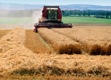 Agriculture Top Growth Engine