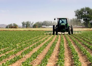 Iran Agro Output Expected to Hit 128m Tons by March 2021