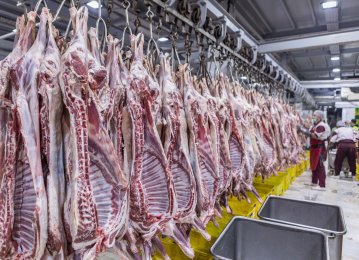 Red Meat Production Up 41%