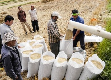 Rice Imports Banned