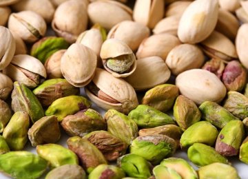 Pistachio Output, Exports Halved