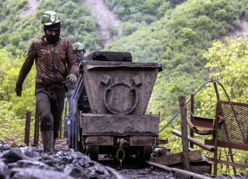 34% Decline in Coal Concentrate Output 